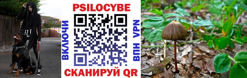 Галлюциногенные грибы Psilocybe  Коломна 